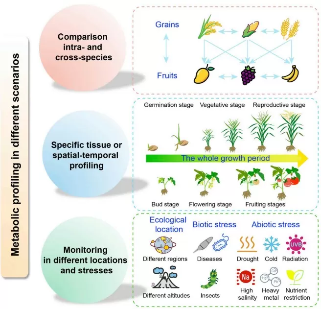 Metabolic profiling in different scenarios